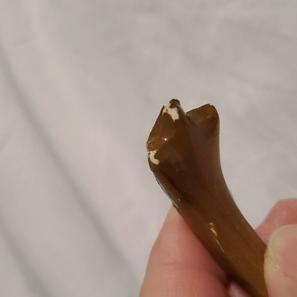 LAST CHANCE Turkey Gravy Boat Made in Italy - Picture 14 of 16